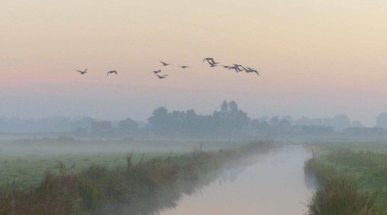 Polderlodge Hillegom Kültér fotó