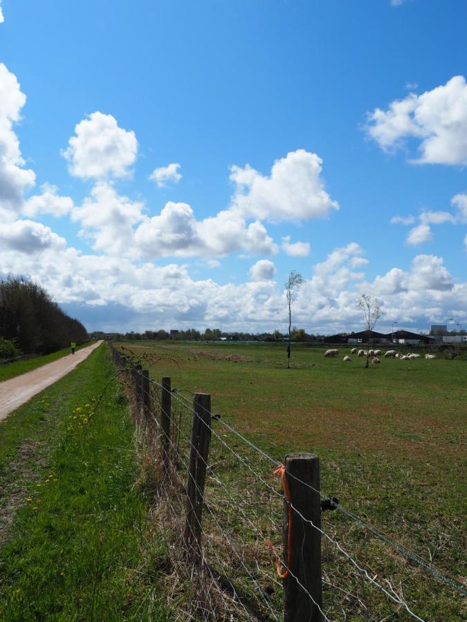 Polderlodge Hillegom Kültér fotó